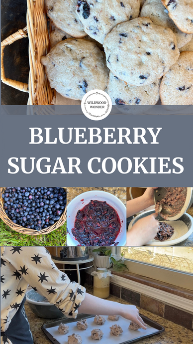 Blueberry Sugar Cookies