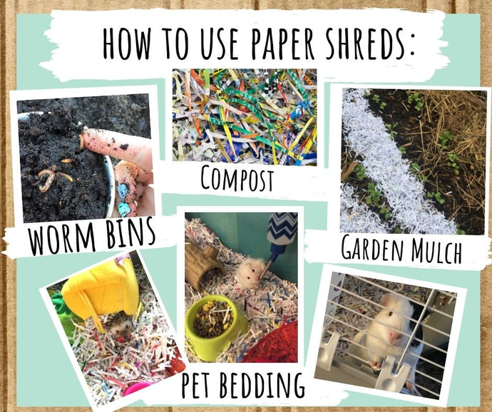 How can you reuse and recycle paper in your home?