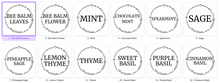 Load image into Gallery viewer, Wildwood Herb Labels