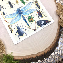 Load image into Gallery viewer, Insect Print