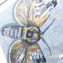 Load image into Gallery viewer, Arctic Moth Print