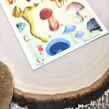 Load image into Gallery viewer, Mushroom Print