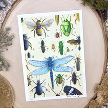 Load image into Gallery viewer, Insect Print