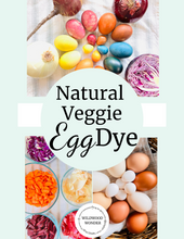 Load image into Gallery viewer, Natural Veggie Egg Dye DIY Guide