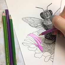 Load image into Gallery viewer, Coloring Book