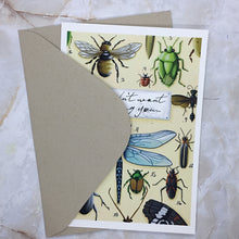 Load image into Gallery viewer, I Didn't Want to Bug You...