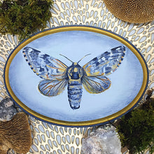 Load image into Gallery viewer, Arctic Moth Original Painting