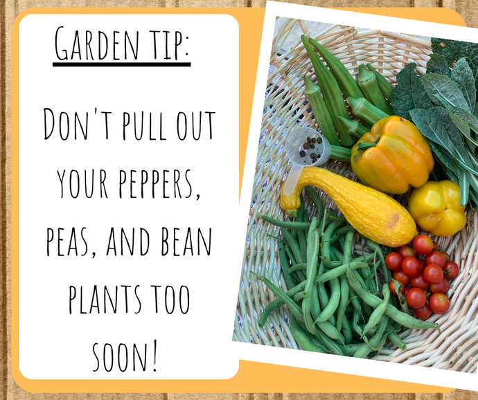 Is it too late to plant a garden?