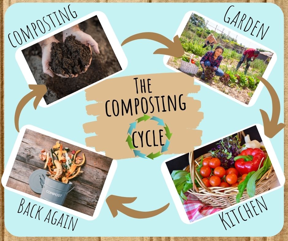 Composting 101 - Wildwood Wonder