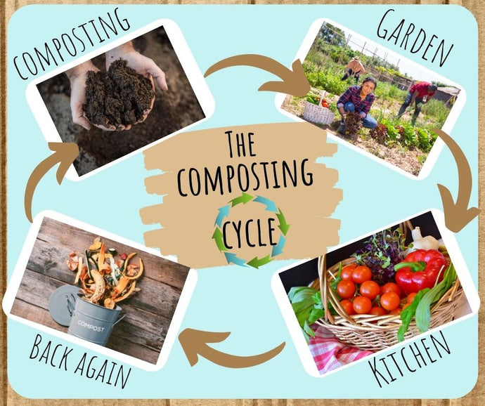 Composting 101