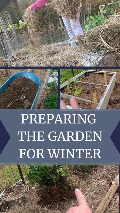 Preparing The Garden For Winter