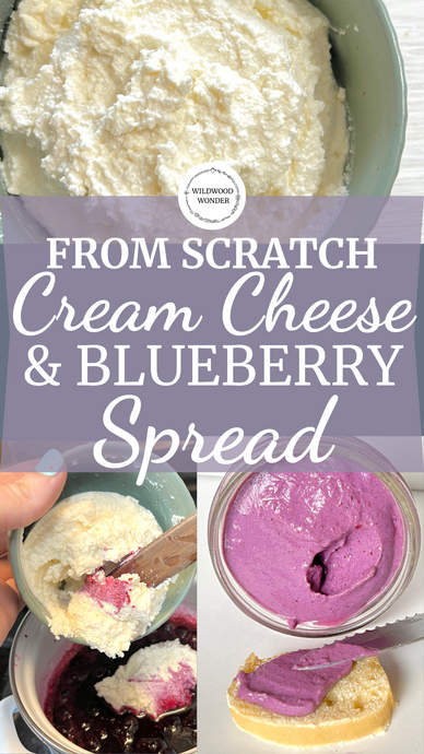 From Scratch Blueberry Cream Cheese Spread
