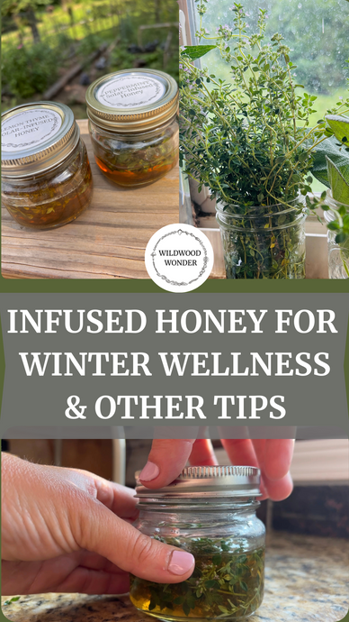 Infused Honey for Winter Wellness and Other Tips