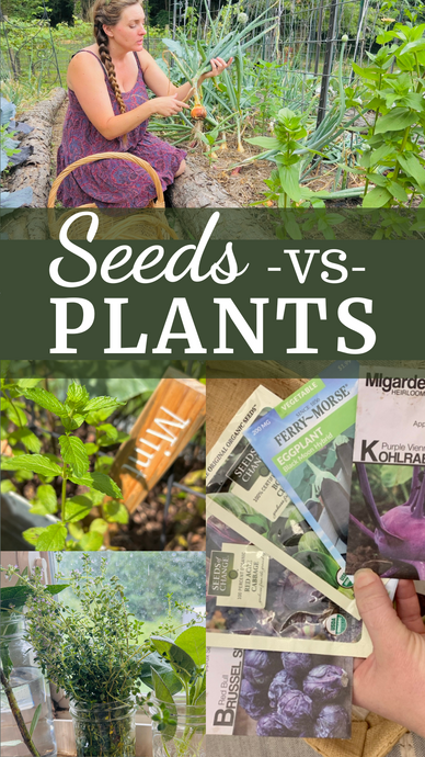 Seeds vs. Live Plants