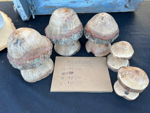 Natural Edge Wooden Mushrooms