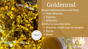 Garden Bloom Achy Joints & Muscles Salve - Coconut Free