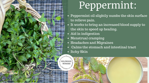 Achy Joints & Muscles Salve (Coconut Free)- Peppermint Scent