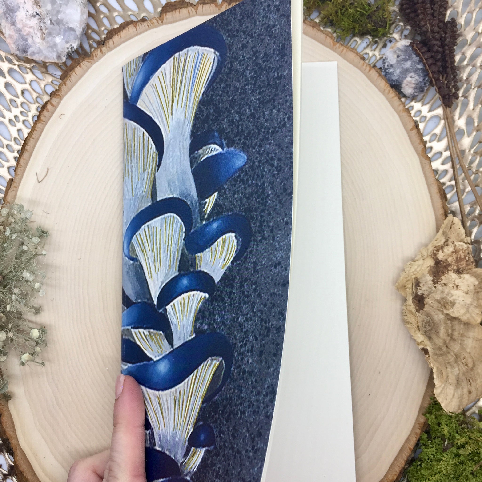 Blue Oyster Mushroom Mini Sketchbook - Wildwood Wonder