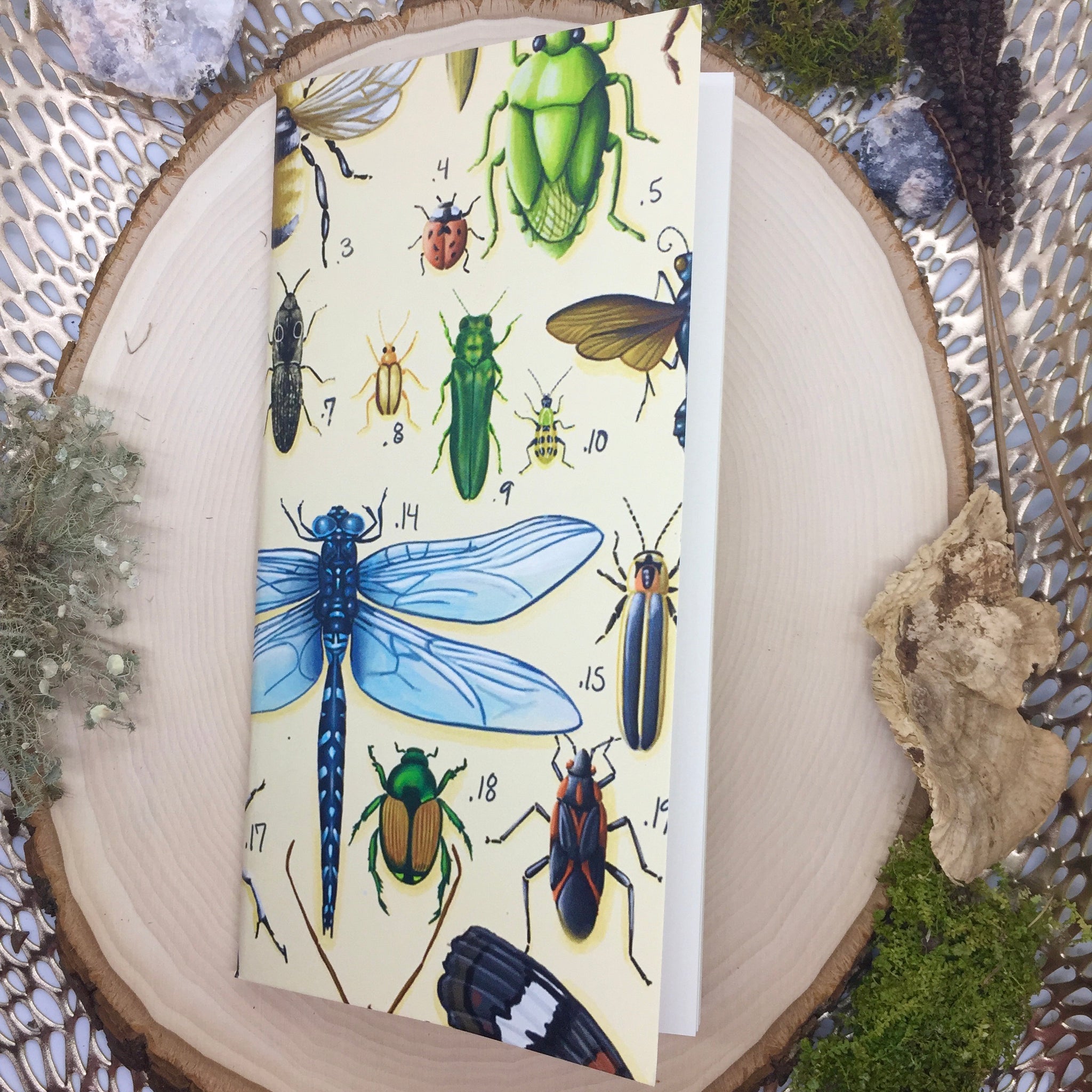 Insect Mini Sketchbook/ Travelers Sketchbook - Wildwood Wonder