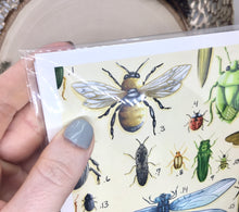 Load image into Gallery viewer, Insect Print
