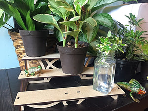 Small Planter Shelf Kit