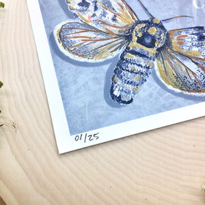 Arctic Moth Print