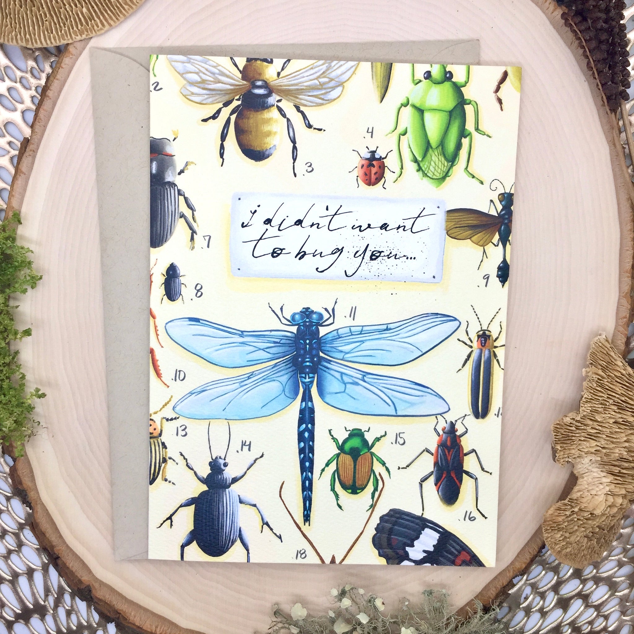 Insect Greeting Card - Wildwood Wonder