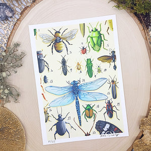 Insect 5x7 Digital Print
