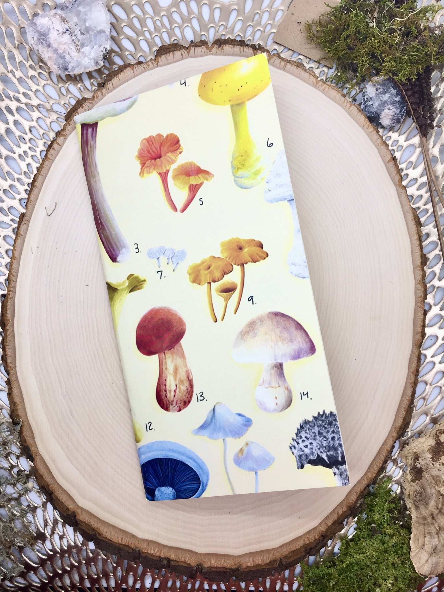 Blue Oyster Mushroom Mini Sketchbook - Wildwood Wonder