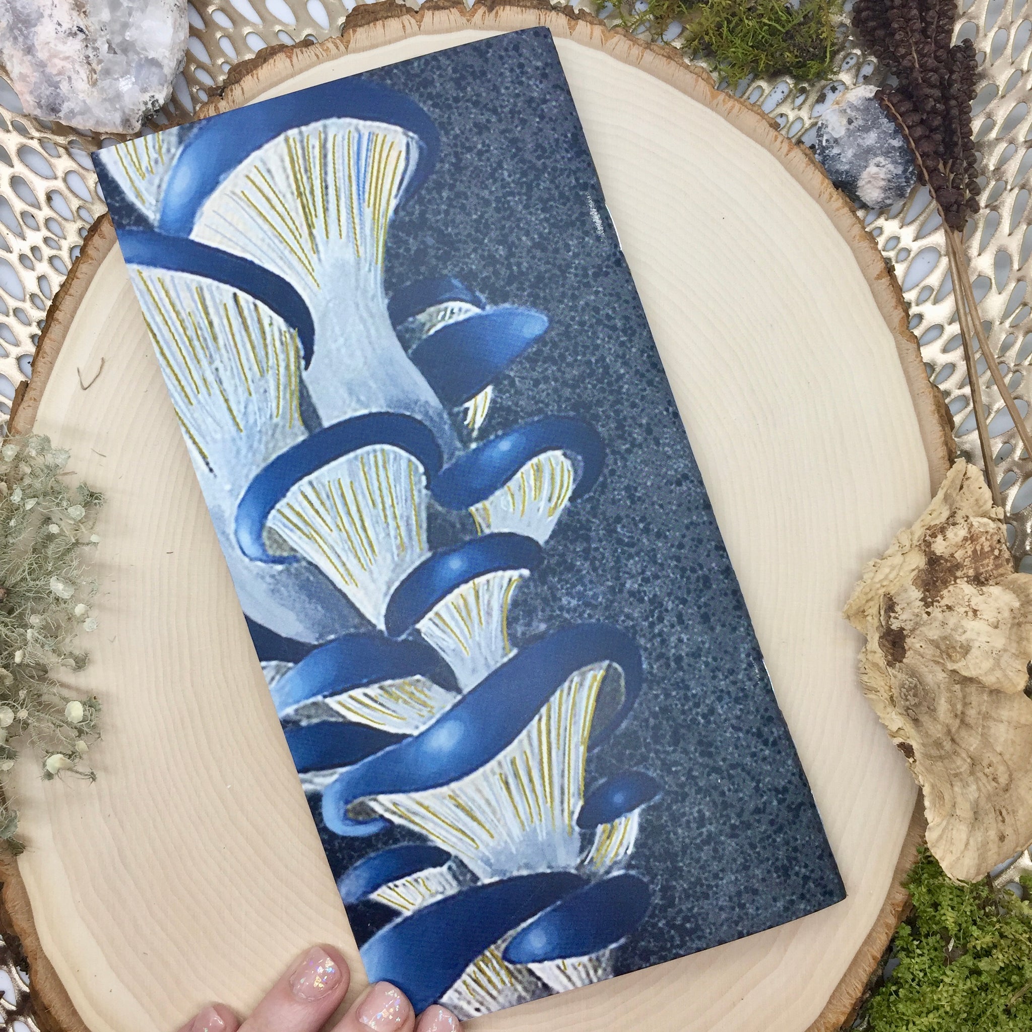 Blue Oyster Mushroom Mini Sketchbook - Wildwood Wonder