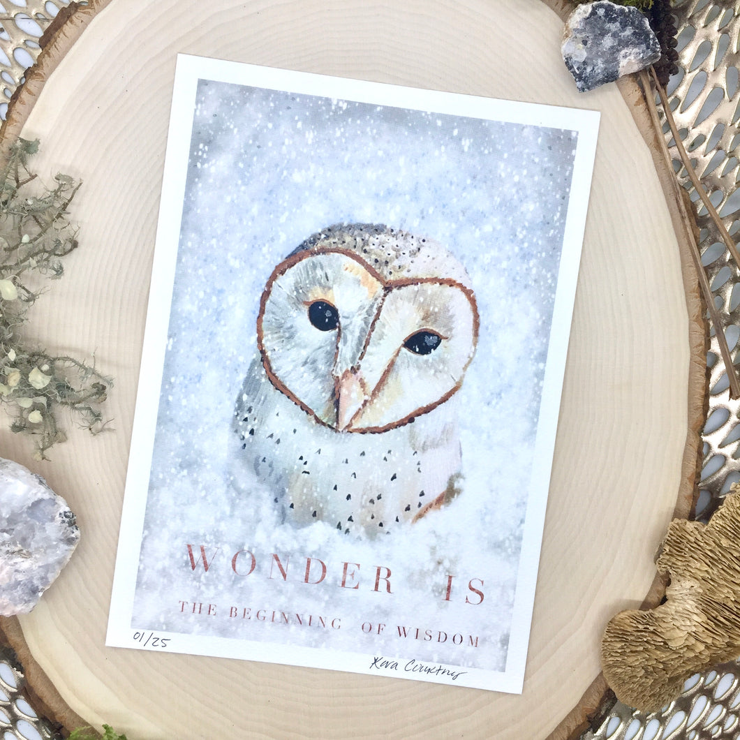 Barn Owl Print