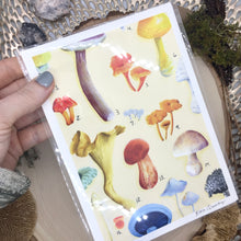 Load image into Gallery viewer, Mushroom Print
