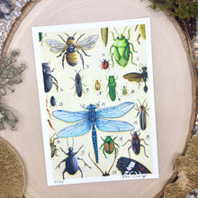 Load image into Gallery viewer, Insect Print
