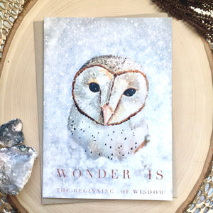 Barn Owl Greeting Card