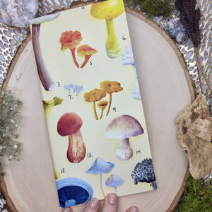 Mushroom Mini Sketchbook/ Traveler Sketchbook