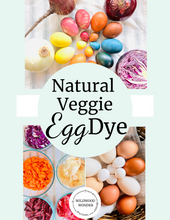 Load image into Gallery viewer, Natural Veggie Egg Dye DIY Guide
