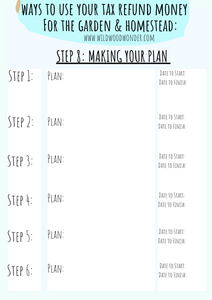 FREE- Use Your Tax Money Wisely: Plan PDF