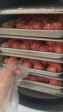 Load and play video in Gallery viewer, Freeze Dried Nerd Puffs

