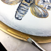 Load image into Gallery viewer, Arctic Moth Original Painting
