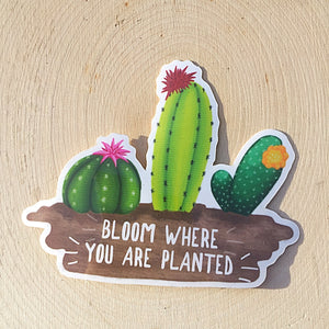 Bloom Where Planted