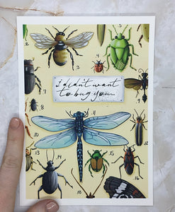 I Didn't Want to Bug You...