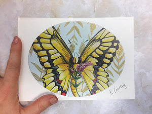Butterfly Print