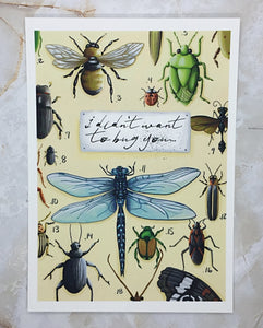 I Didn't Want to Bug You...