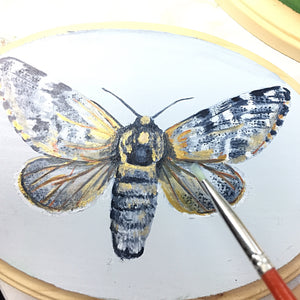 Arctic Moth Original Painting