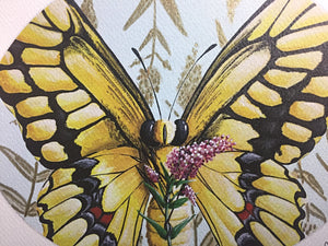 Butterfly Print