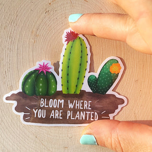Bloom Where Planted