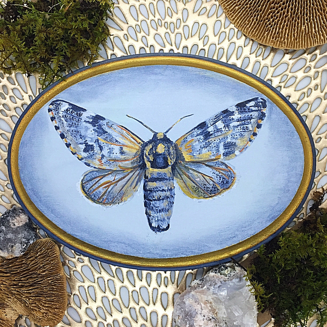 Arctic Moth Original Painting
