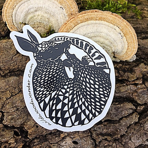 Armadillo Sticker